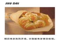 骥子龙文融资租赁（深圳）有限公司