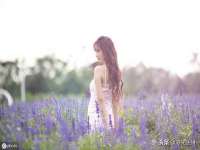 骥子龙文融资租赁（深圳）有限公司