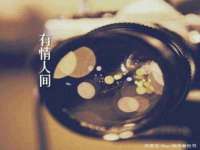 骥子龙文融资租赁（深圳）有限公司