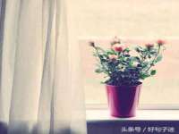 骥子龙文融资租赁（深圳）有限公司