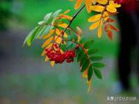骥子龙文融资租赁（深圳）有限公司