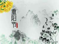 骥子龙文融资租赁（深圳）有限公司