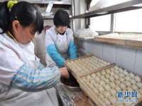 骥子龙文融资租赁（深圳）有限公司