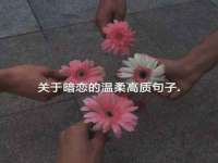 骥子龙文融资租赁（深圳）有限公司