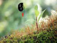 骥子龙文融资租赁（深圳）有限公司