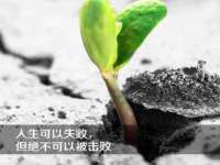 骥子龙文融资租赁（深圳）有限公司
