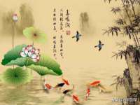 骥子龙文融资租赁（深圳）有限公司