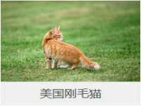 骥子龙文融资租赁（深圳）有限公司