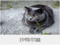 骥子龙文融资租赁（深圳）有限公司