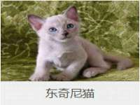 骥子龙文融资租赁（深圳）有限公司