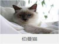 骥子龙文融资租赁（深圳）有限公司