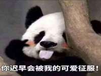 骥子龙文融资租赁（深圳）有限公司
