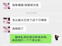 骥子龙文融资租赁（深圳）有限公司
