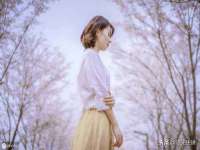 骥子龙文融资租赁（深圳）有限公司