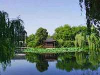 骥子龙文融资租赁（深圳）有限公司