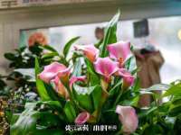 骥子龙文融资租赁（深圳）有限公司