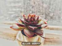 骥子龙文融资租赁（深圳）有限公司