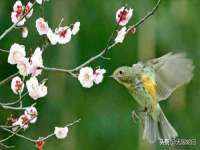骥子龙文融资租赁（深圳）有限公司