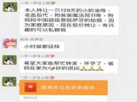 骥子龙文融资租赁（深圳）有限公司