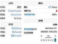 骥子龙文融资租赁（深圳）有限公司