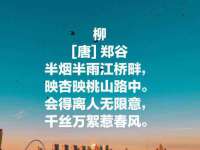 骥子龙文融资租赁（深圳）有限公司