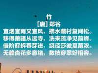 骥子龙文融资租赁（深圳）有限公司