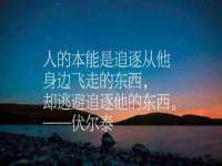 骥子龙文融资租赁（深圳）有限公司