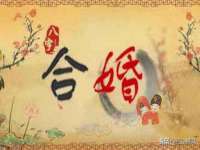 骥子龙文融资租赁（深圳）有限公司