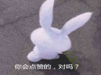 骥子龙文融资租赁（深圳）有限公司