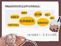 骥子龙文融资租赁（深圳）有限公司