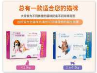 骥子龙文融资租赁（深圳）有限公司