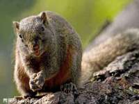 骥子龙文融资租赁（深圳）有限公司