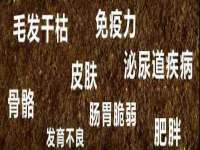 骥子龙文融资租赁（深圳）有限公司