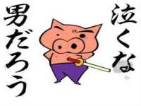 骥子龙文融资租赁（深圳）有限公司