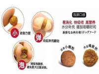 骥子龙文融资租赁（深圳）有限公司