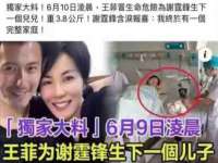 骥子龙文融资租赁（深圳）有限公司