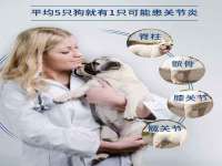 骥子龙文融资租赁（深圳）有限公司