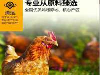 骥子龙文融资租赁（深圳）有限公司