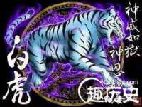 骥子龙文融资租赁（深圳）有限公司