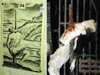 骥子龙文融资租赁（深圳）有限公司