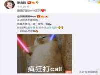骥子龙文融资租赁（深圳）有限公司
