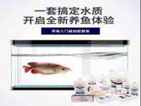 骥子龙文融资租赁（深圳）有限公司