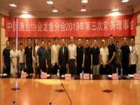 骥子龙文融资租赁（深圳）有限公司