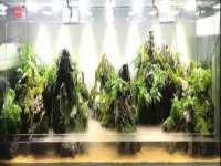 骥子龙文融资租赁（深圳）有限公司