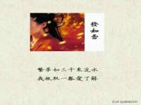 骥子龙文融资租赁（深圳）有限公司