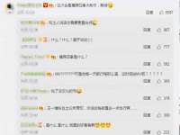 骥子龙文融资租赁（深圳）有限公司