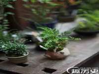 骥子龙文融资租赁（深圳）有限公司