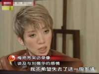 骥子龙文融资租赁（深圳）有限公司
