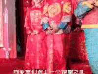 骥子龙文融资租赁（深圳）有限公司