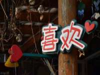 骥子龙文融资租赁（深圳）有限公司